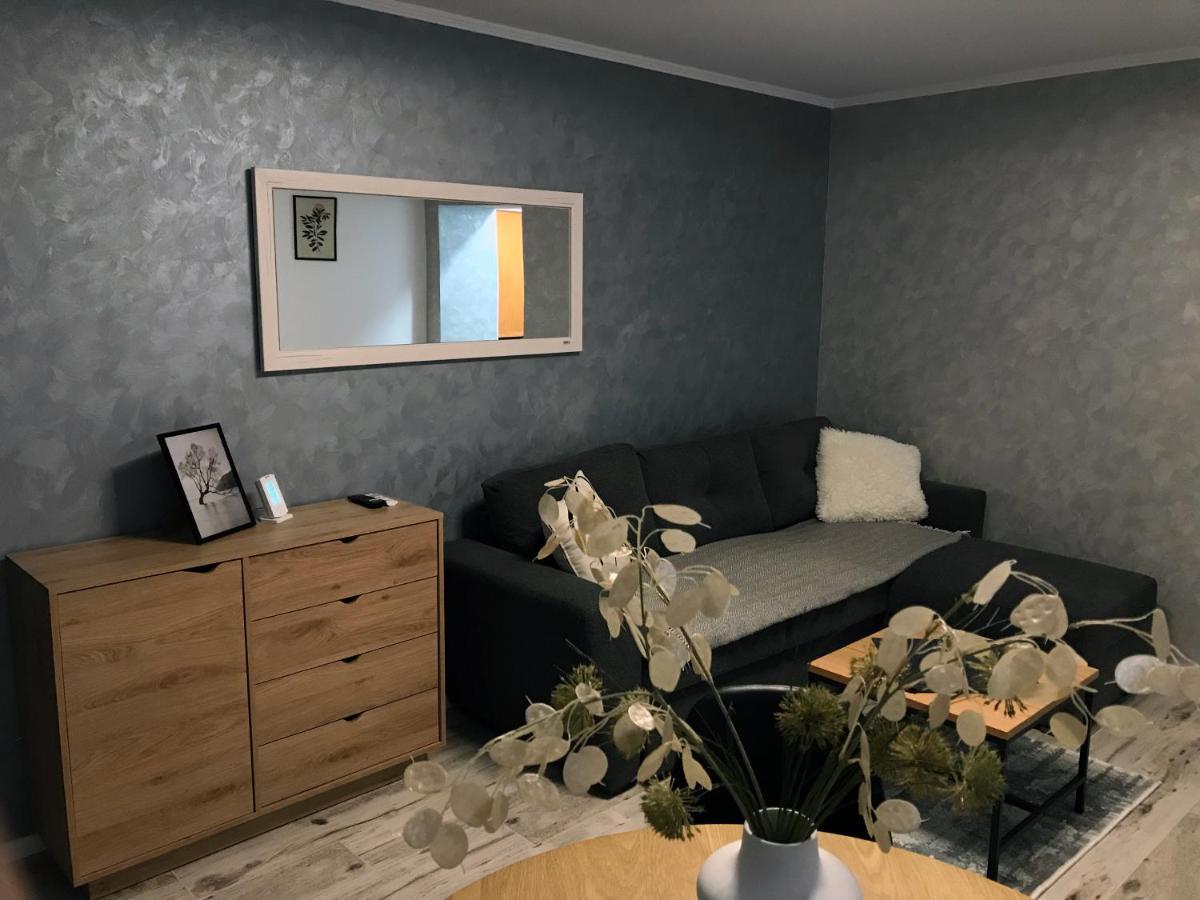 Homely Apartment Сучеава Екстериор снимка